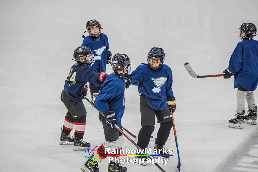 AAA St. Louis Blues Squirt Spring Hockey