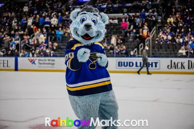 Chesterfield Hockey Falcons at the St. Louis Blues Game January 13, 2022