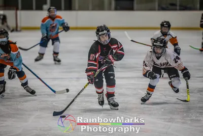 Early Chesterfield Falcons 10U B1 Hockey Games