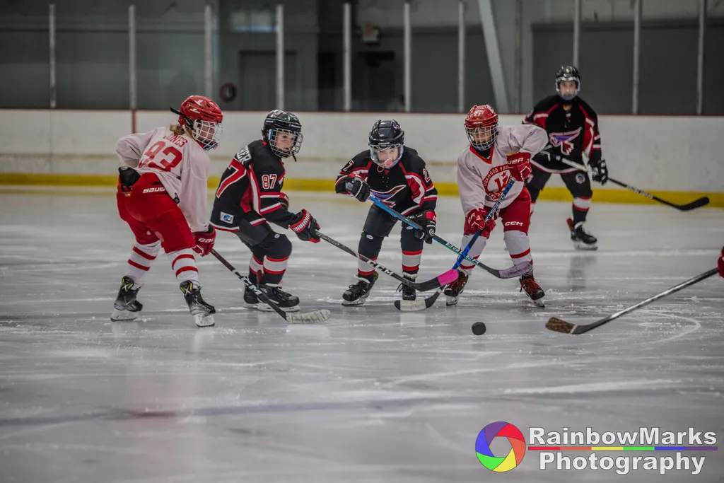 Youth hockey in action