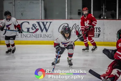 January 20th weekend Hockey!