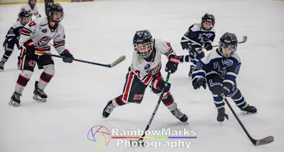 2013 St. Louis Knights Central States Hockey