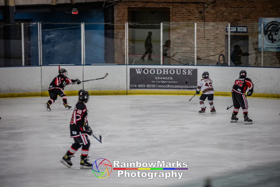 Chesterfield Falcons 10U-A1 Shine at the Leprechaun Lashout Tournament