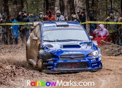 2022 Rally in the 100 Acre Wood