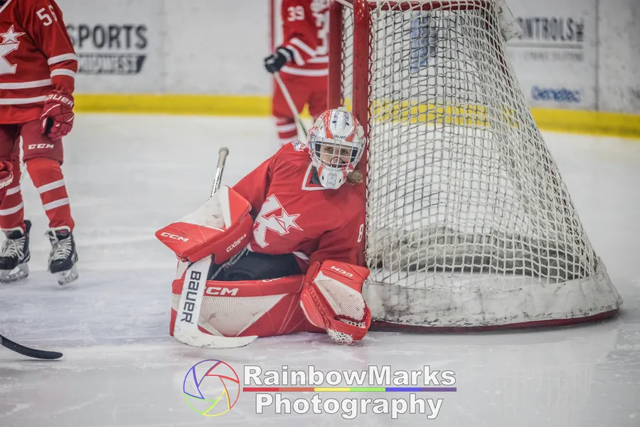 Capture the thrill of St. Louis hockey with professional photography services. Relive every goal celebration and intense face-off in high-quality phot...