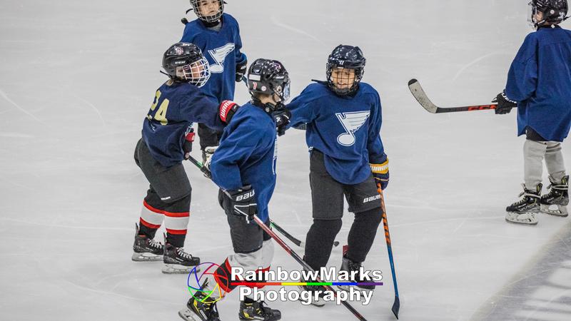 AAA St. Louis Blues Squirt Spring Hockey